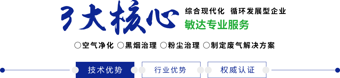 大胸美女被大屌操敏达环保科技（嘉兴）有限公司